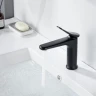 Смеситель для раковины Shevanik S4701H цвет Черный