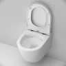 Унитаз AM.PM Sense FlashClean CK74H0403W подвесной с гигиеническим душем и ершиком с сиденьем Микролифт фарфор подвесной