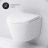 Унитаз AM.PM Sense FlashClean CK74H0403W подвесной с гигиеническим душем и ершиком с сиденьем Микролифт фарфор подвесной