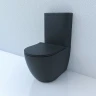 Унитаз компакт Esbano Fortex-N ESUNFORTBM Черный матовый с бачком и сиденьем Микролифт фаянс напольный