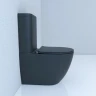 Унитаз компакт Esbano Fortex-N ESUNFORTBM Черный матовый с бачком и сиденьем Микролифт фаянс напольный