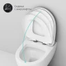 Комплект унитаза AM.PM Awe C111738WH+C117852WH с инсталляцией Grohe Rapid SL 38721001 с сиденьем Микролифт и клавишей смыва Хром фарфор подвесной