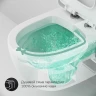 Комплект унитаза AM.PM Awe C111738WH+C117852WH с инсталляцией Grohe Rapid SL 38721001 с сиденьем Микролифт и клавишей смыва Хром фарфор подвесной