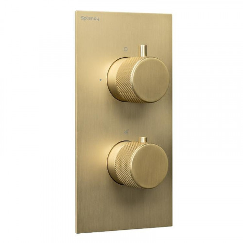 Смеситель для душа Splendy Passion PA204U2T2GM с термостатом цвет Золото матовое