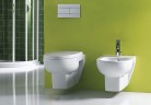 Биде Jacob Delafon Odeon Up E4765-00 подвесное Белое