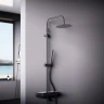 Душевая система Damixa Scandinavian Pure 936730300 Черная матовая латунь на стену