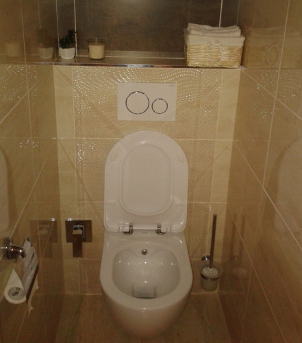 Унитаз биде Creavit Free FE322-00CB00E-0000 подвесной Белый без сиденья фарфор подвесной