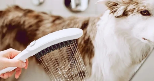Ручной душ Hansgrohe DogShower 26640700 для собак Белый матовый