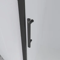 Душевая дверь Veconi Evo 100 B 100 E1-B-100-01-C9 профиль цвет Черный матовый стекло прозрачное