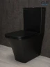 Унитаз компакт Gid Cuadrado Tn2184Bm 62252Y цвет Черный матовый с бачком и сиденьем Микролифт