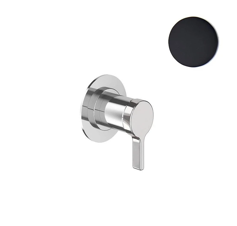 Смеситель для душа Webert Coral CO880101560 цвет Черный матовый