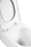 Унитаз компакт BelBagno Marino BB105CPR/BB105SC без бачка с сиденьем Микролифт фаянс напольный