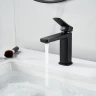 Смеситель для раковины Raffine F0199H цвет Черный