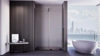 Душевая дверь Veconi Premium Trento PTDW-50B 100 PTDW-50B-100-01-C4 профиль цвет Черный матовый стекло прозрачное