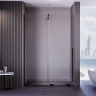 Душевая дверь Veconi Premium Trento PTDW-50B 100 PTDW-50B-100-01-C4 профиль цвет Черный матовый стекло прозрачное