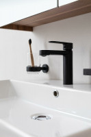 Смеситель для раковины Aquanet Passion AF300-10B 243293 Черный