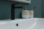 Смеситель для раковины Aquanet Passion AF300-10B 243293 Черный