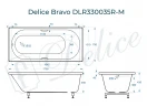 Ванна из искусственного камня Delice Bravo 170х75 DLR330035R-M цвет Белый
