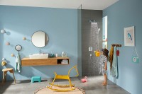 Смеситель для душа Hansgrohe Ecostat E 15708000 с термостатом Хром латунь встраиваемый