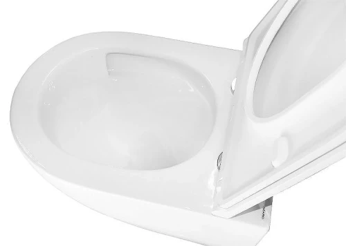 Унитаз с инсталляцией Azario AZ-TS006T+AZ-0093UQ3 цвет Белый с сиденьем Микролифт