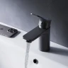 Смеситель для раковины AM.PM X-Joy F85A02122 Черный матовый латунь