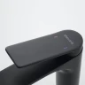Смеситель для раковины Shevanik S4101H цвет Черный