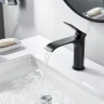 Смеситель для раковины Shevanik S4101H цвет Черный
