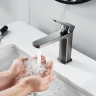 Смеситель для раковины Raffine F0199T цвет Оружейная сталь