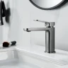 Смеситель для раковины Raffine F0199T цвет Оружейная сталь