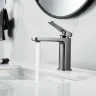 Смеситель для раковины Raffine F0199T цвет Оружейная сталь
