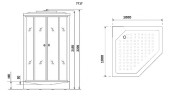 Душевая кабина Niagara Luxe NG-7717G 100x100 с гидромассажем
