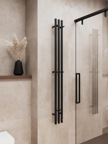 Электрический полотенцесушитель Terminus Трес 160 4670078575432 цвет Черный матовый