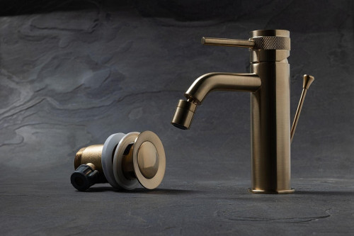 Смеситель для биде Allen Brau Priority 5.31A04-GB цвет Золото
