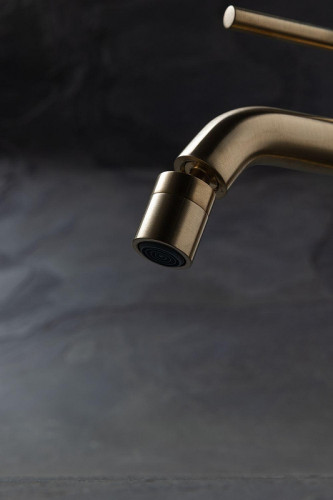 Смеситель для биде Allen Brau Priority 5.31A04-GB цвет Золото