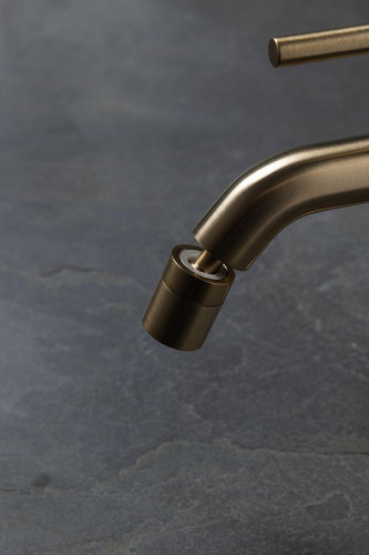 Смеситель для биде Allen Brau Priority 5.31A04-GB цвет Золото