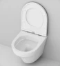 Комплект унитаза с инсталляцией AM.PM Inspire FlashClean IS49051.501700 с сиденьем Микролифт и клавишей смыва Хром фарфор подвесной