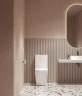 Унитаз компакт Ravak Elegant RimOff Combi X01872 с бачком и сиденьем Микролифт