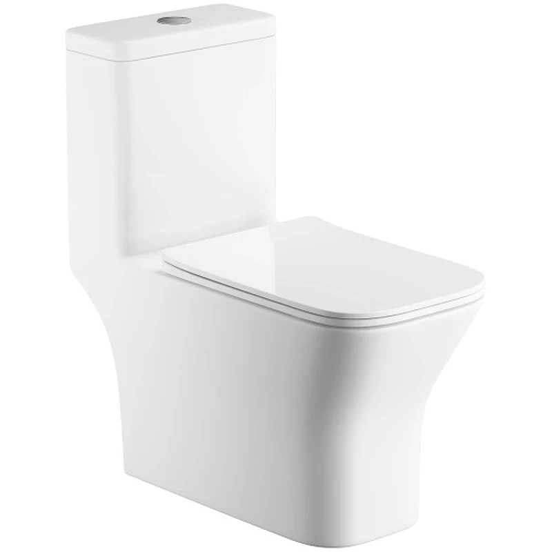Унитаз моноблок Royce Smart RCT-133004WH с сиденьем Микролифт фаянс напольный