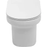 Унитаз подвесной Aquanet Nova BL-101N-WHT NOVA-W 211914 с сиденьем Микролифт
