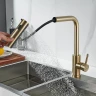Смеситель для кухни Shevanik S263G цвет Золотой сатин