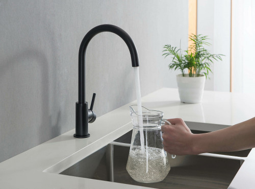 Смеситель для кухни Aquatek Европа AQ1382MB Черный матовый латунь