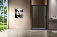Душевая дверь Vincea Garda 120 VDS-1G120CGB профиль Черный стекло тонированное