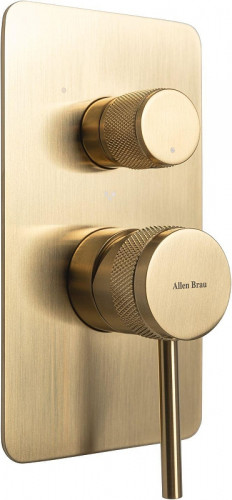 Смеситель для душа Allen Brau Priority 5.31A11-GB цвет Золото