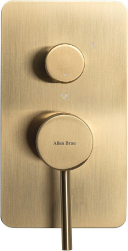 Смеситель для душа Allen Brau Priority 5.31A11-GB цвет Золото