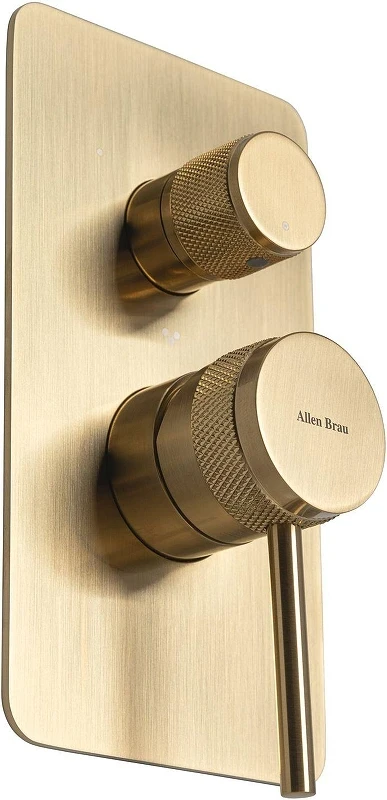 Смеситель для душа Allen Brau Priority 5.31A11-GB цвет Золото