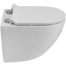 Унитаз BelBagno Amanda-Tor BB051CH-TOR-FC подвесной без сиденья фаянс подвесной
