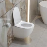 Унитаз BelBagno Amanda-Tor BB051CH-TOR-FC подвесной без сиденья фаянс подвесной