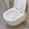 Унитаз BelBagno Amanda-Tor BB051CH-TOR-FC подвесной без сиденья фаянс подвесной