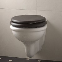 Унитаз Devon&amp;Devon Etoile IBWCSET подвесной без сиденья фарфор подвесной