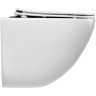 Комплект унитаза BelBagno Amanda BB051CHR+BB051SC с инсталляцией Grohe Rapid SL 38721001 с сиденьем Микролифт и клавишей смыва Хром фаянс подвесной